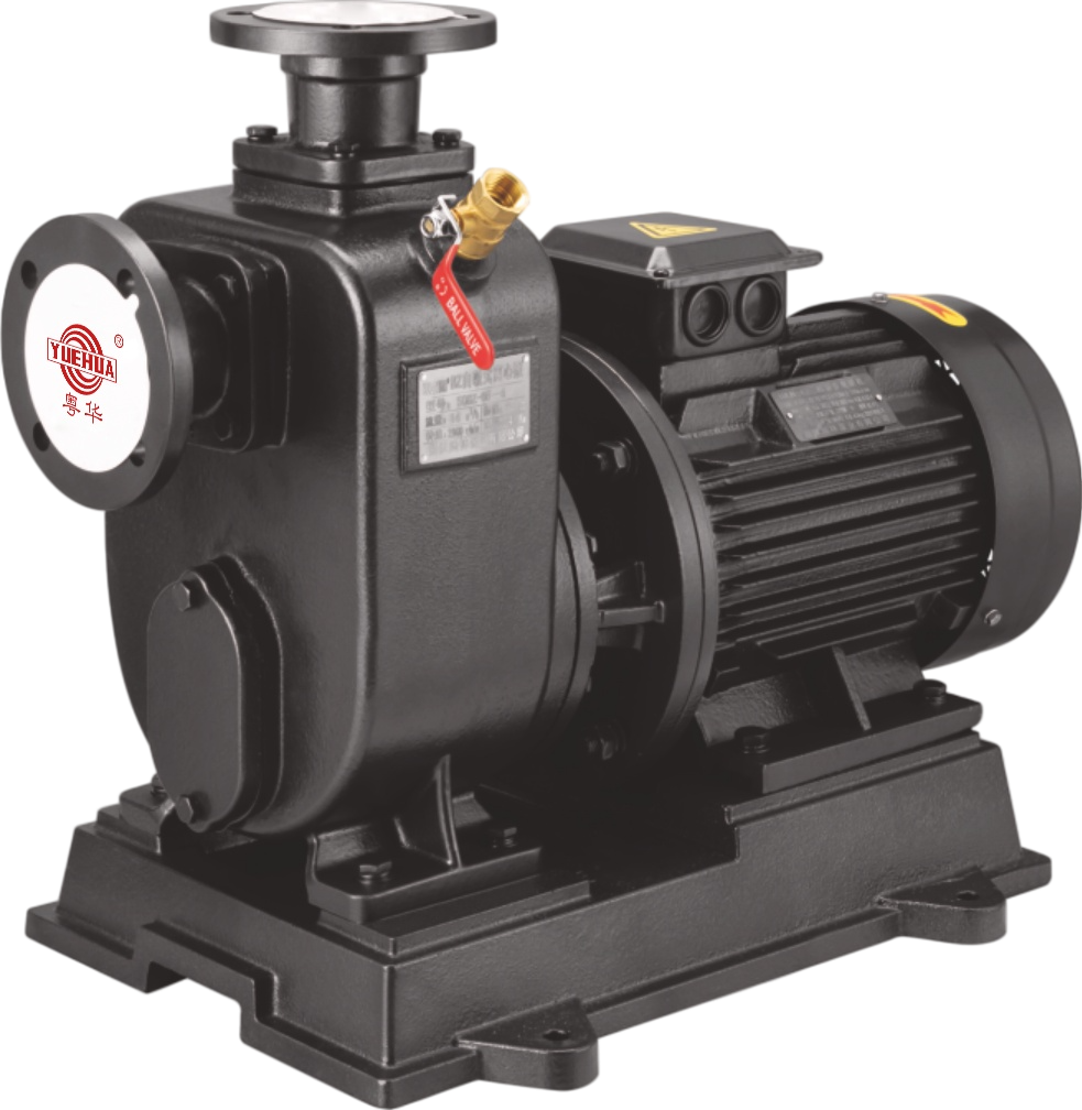 BZ Self-Priming Clean Water Pump